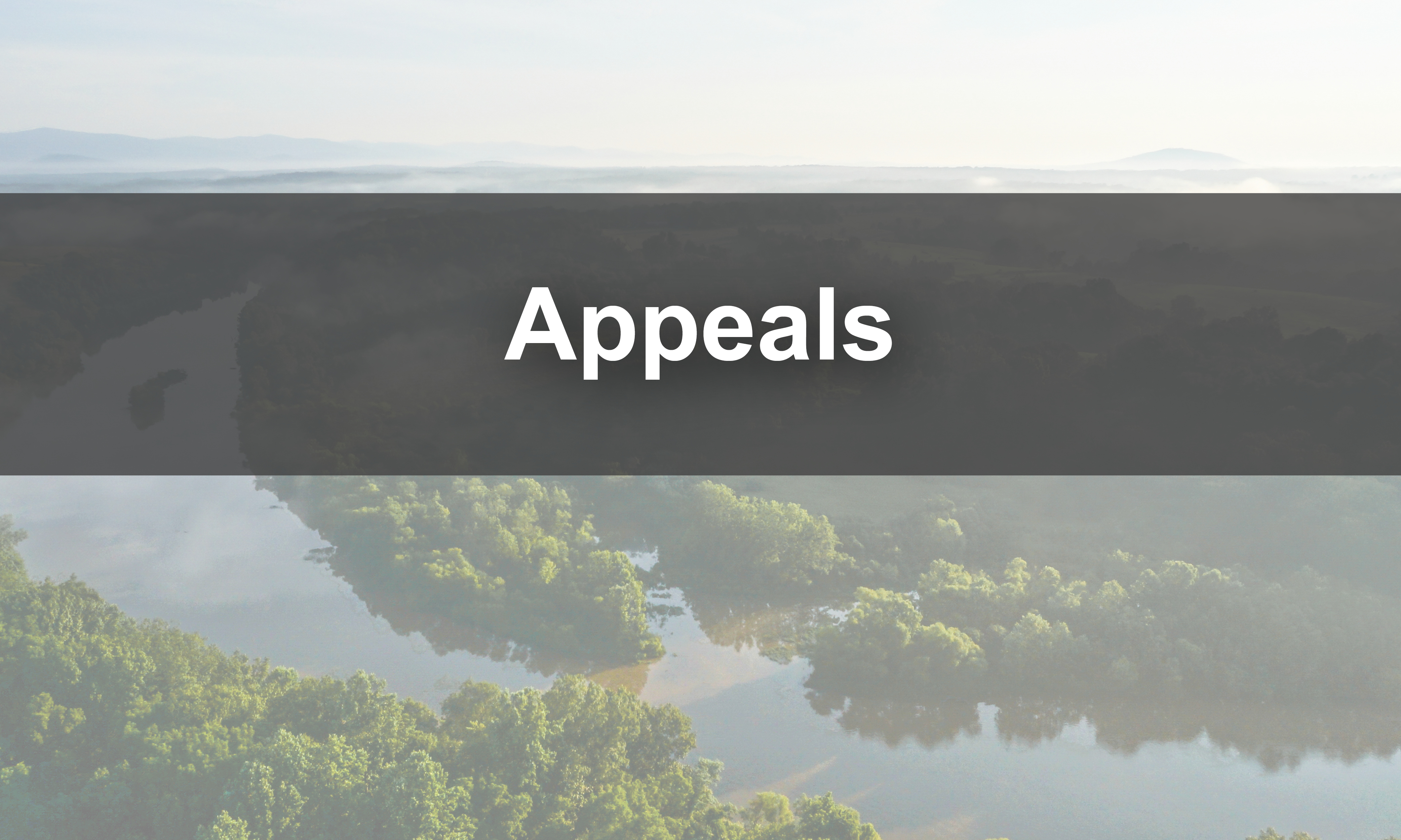 Link to appeals information